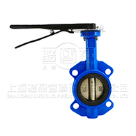 D671F-16P不銹鋼對(duì)夾式蝶閥 D671F-16P不銹鋼對(duì)夾式蝶閥